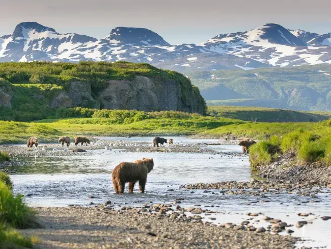 tour in alaska