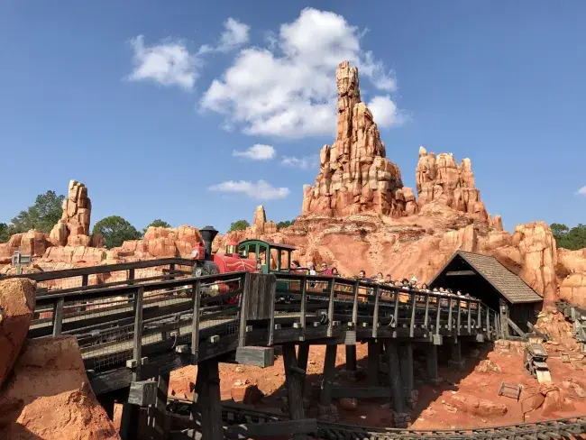 biglietti per Disneyworld e Disneyland