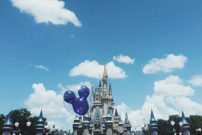 biglietti per Disneyworld e Disneyland