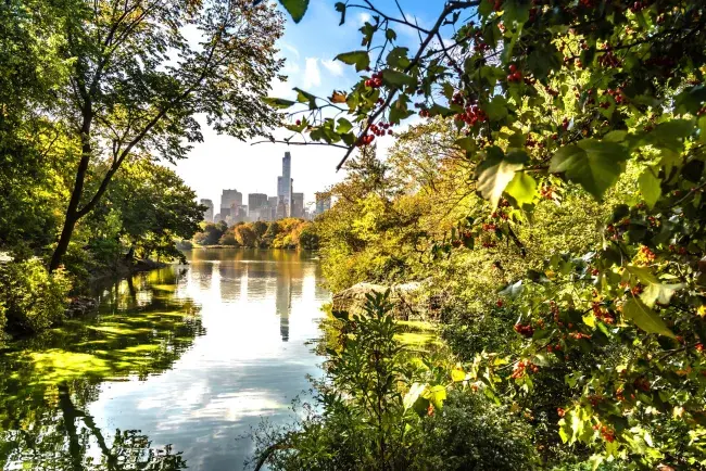 tour a new york stati uniti