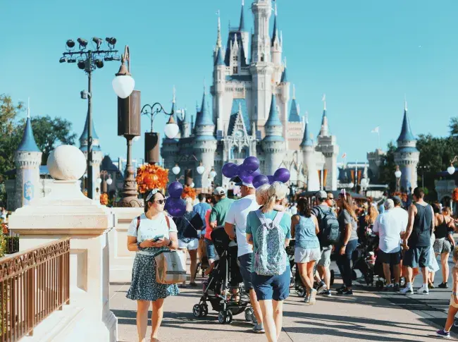 biglietti per Disneyworld e Disneyland