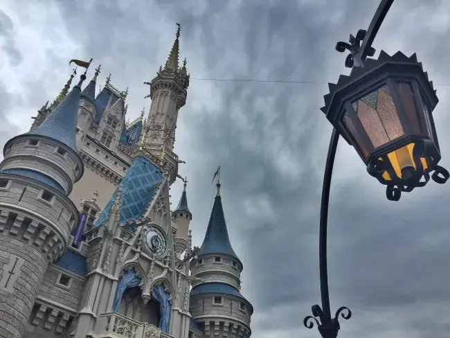 biglietti per Disneyworld e Disneyland
