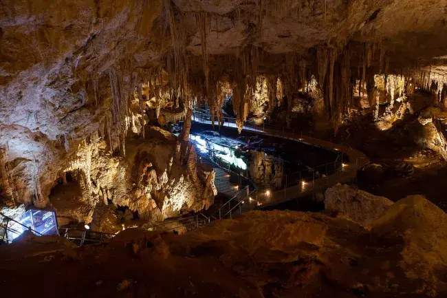 tour mammoth cave stati uniti