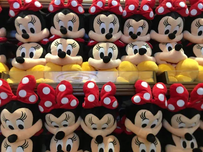 biglietti per Disneyworld e Disneyland