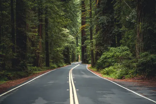 tour california stati uniti