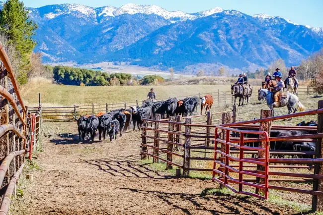 trascorrere un paio di notti in un ranch negli stati uniti, un'esperienza unica