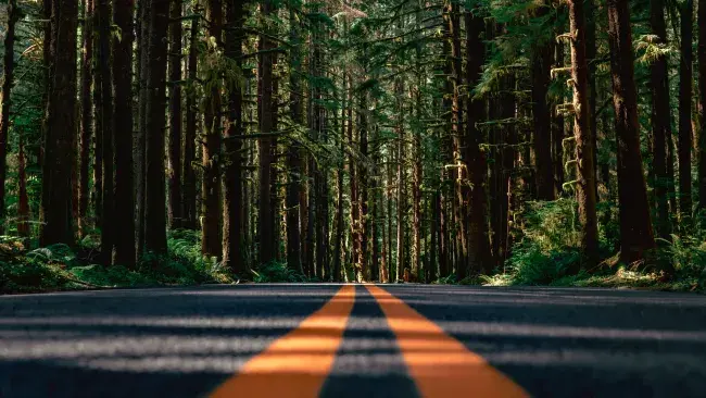 viaggi negli stati uniti america