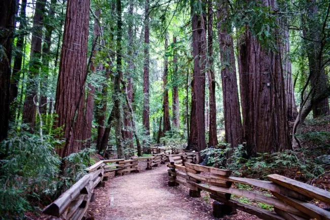 big sur california