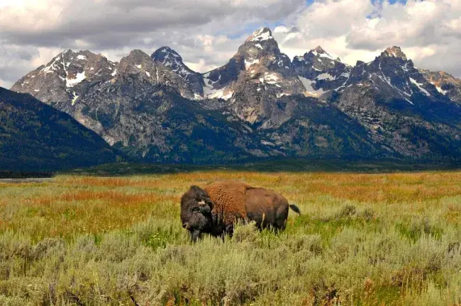 wyoming e grand teton national park