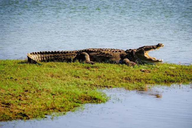 tour everglades florida