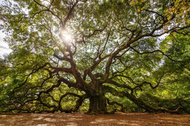 south carolina stati uniti america