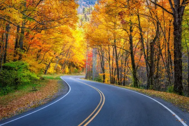 great smoky mountains