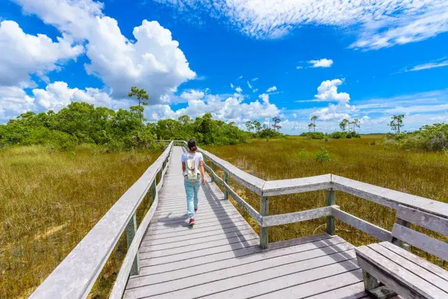 tour everglades florida