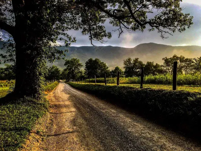 viaggio in tennessee