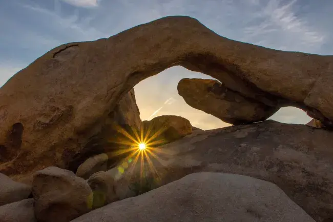 joshua tree california