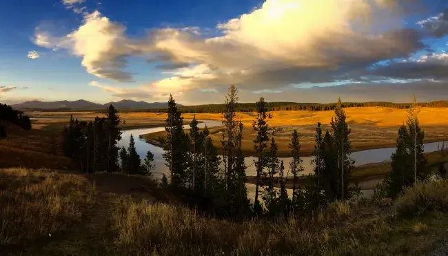 yellowstone national park