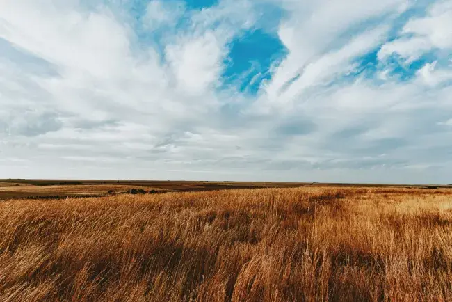 viaggi nelle grandi pianure americane