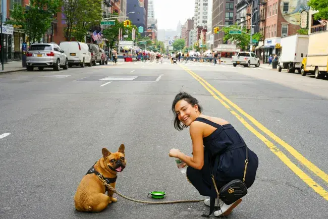 stati uniti con un cane