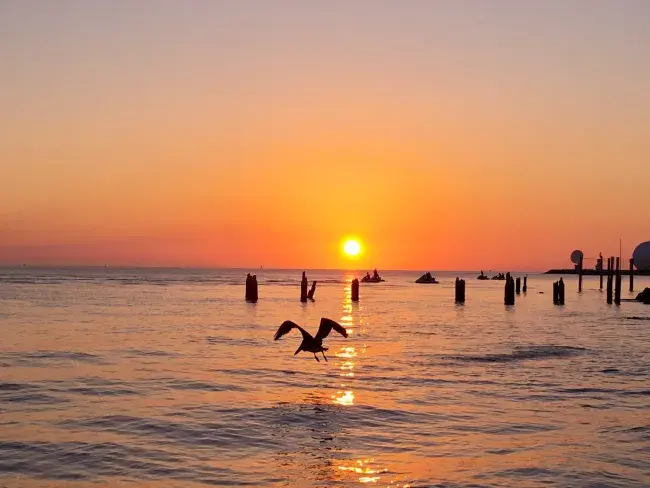 viaggio alle keys, florida