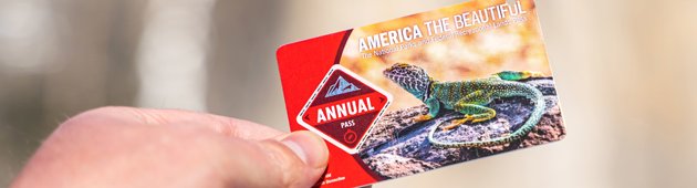 tessera parchi stati uniti