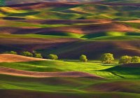 oregon stati uniti