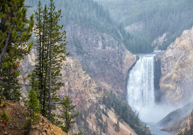 tour yellowstone in pullman